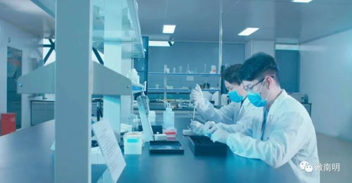 南明這家醫(yī)療企業(yè)不得了,收購美國公司,產(chǎn)品暢銷全國